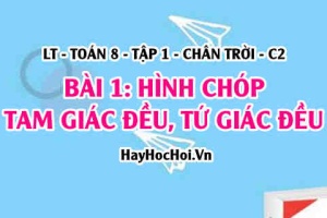 Tính chất Hình chóp Tam giác đều, Hình chóp Tứ giác đều? Toán 8 Chân trời tập 1 Bài 1 C2